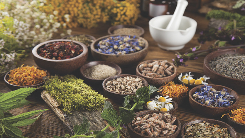 Support herbalists to find a cure to COVID-19 – Dr. Amofa tells gov’t