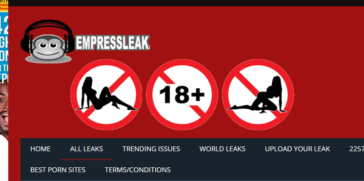 More than 1,000 Ghanaians visit ‘Empress Leaks’ website per day – NCSC reveals