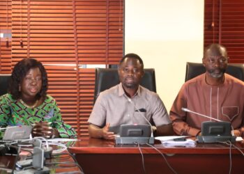 NHIS in a state of comatose under President Akufo-Addo – Mintah Akandoh