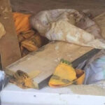 Late queen mother’s grave exhumed in Asante Mampong