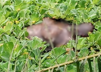Eastern Region: 16-year-old girl found dead in Tinkong