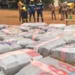 Police intercept truck carrying over 7,000 parcels of suspected marijuana in Nkwanta South