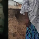 C/R: Day-Old Baby Rescued After Mother Abandoned Him in the Bush