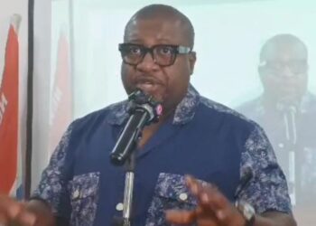 NPP Sets Aside Weekends for Polling Station Meetings