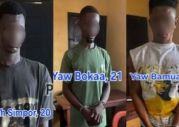 Savannah Region: Police arrest three over murder at Gbinyiri