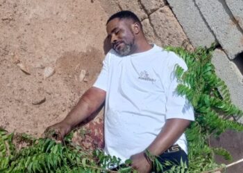 G/A: Three Killed, One in Critical Condition Amid Alleged Landguard Activities at Banka-Busuafise