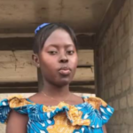 Bees kills SHS student at Winneba